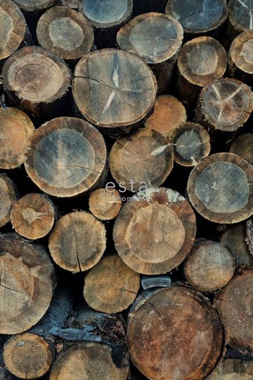 esta-partners at home wood logs