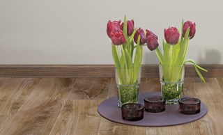 tulip-50901-molen_eik